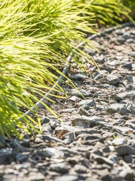 Ecolat aufgerollt grau verlegt