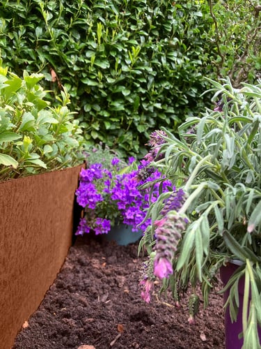 Multi-Edge METAL Cortenstahl 150x37,5cm verlegt