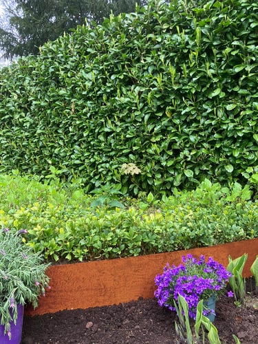 Multi-Edge METAL Cortenstahl 150x37,5cm verlegt